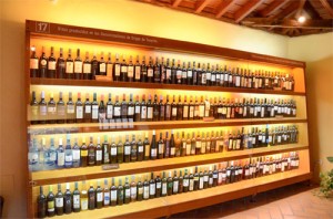 CASA DEL VINO TENERIFE