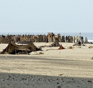 exodus fuerteventura hoteles