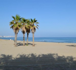 playa de rio real marbella